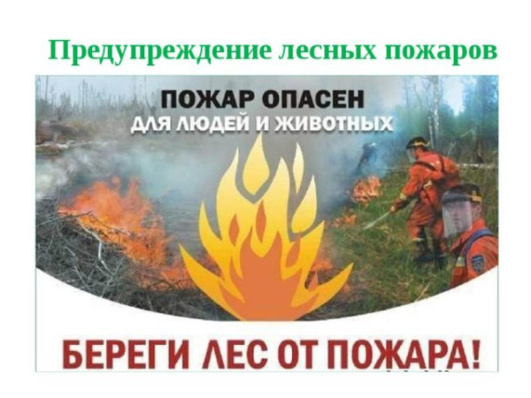 Единый день «Профилактики возникновения лесных пожаров».